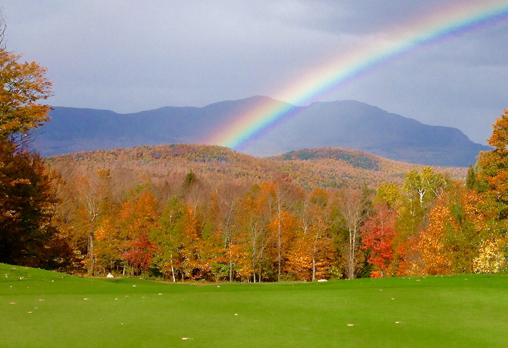 Rainbow Over a Meadow